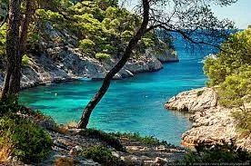 Référencement SEO  - Image 1