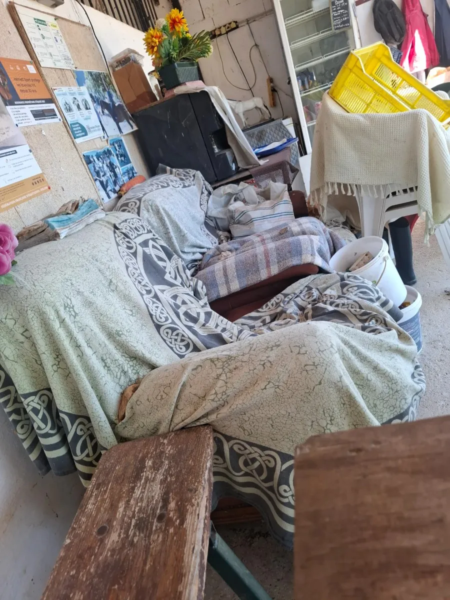 Concour hippique a thuir